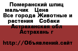 Померанский шпиц, мальчик › Цена ­ 35 000 - Все города Животные и растения » Собаки   . Астраханская обл.,Астрахань г.